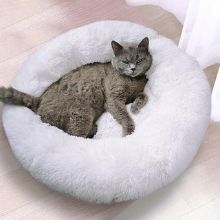 Katzenkissen
